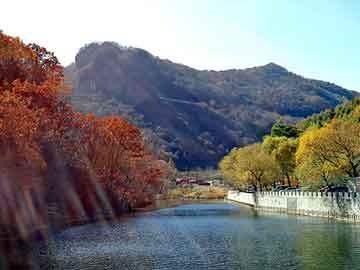 澳门二四六天天彩图库，都市修真小说全本